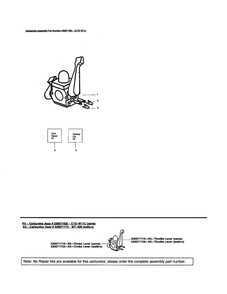 Carburetor Diagram and Parts List for WT200 Type 2 Weed Eater Leaf Blower / Vacuum